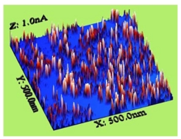 Spatial distribution and dynamics of proton conductivity in fuel cell membranes: potential and limitations of electrochemical atomic force microscopy measurements