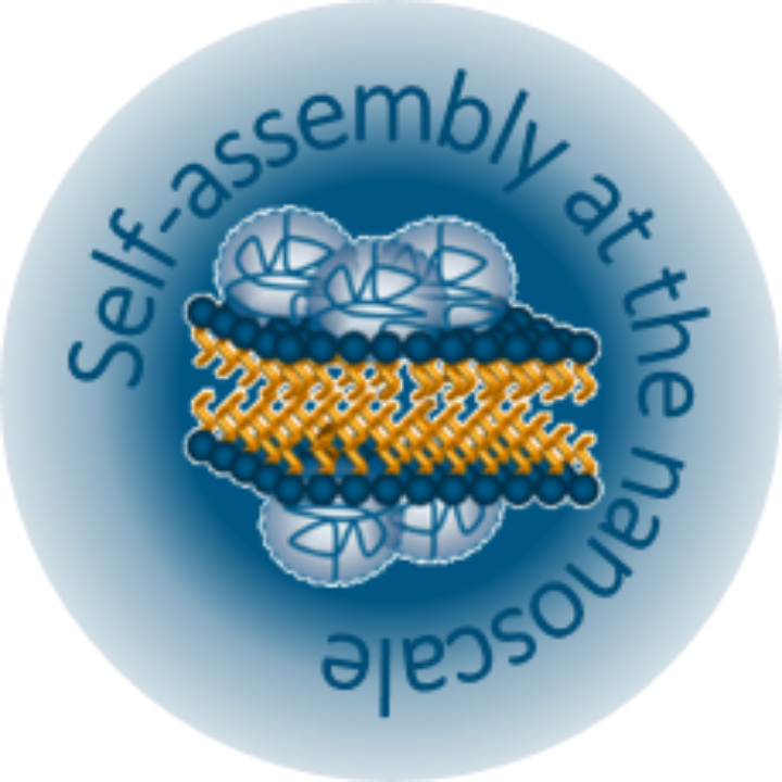 Logo of the Sottmann group